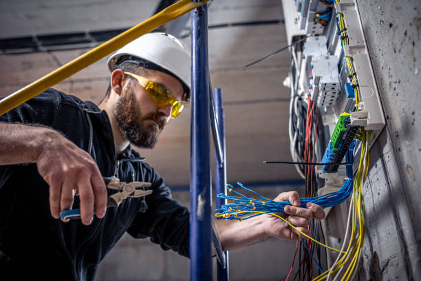 Best Licensed Electrician  in Tolono, IL